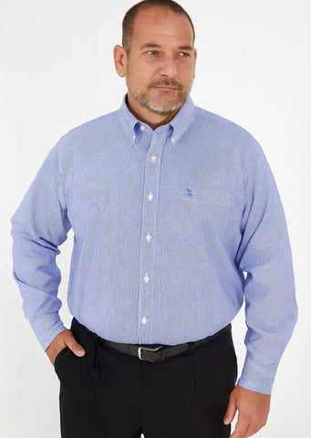 Camisa Raya Fina Talle Grande Especial Ver Guia