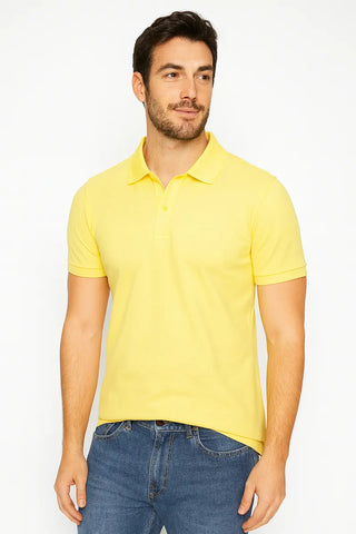 Remera Pique Algodon American Modelo Polo