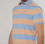 Remera Rayas Modelo Polo Legacy